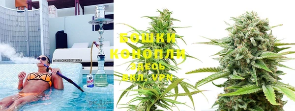 ешки Алзамай