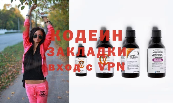 хмурый Алексин