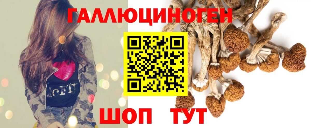 Галлюциногенные грибы Cubensis Междуреченск